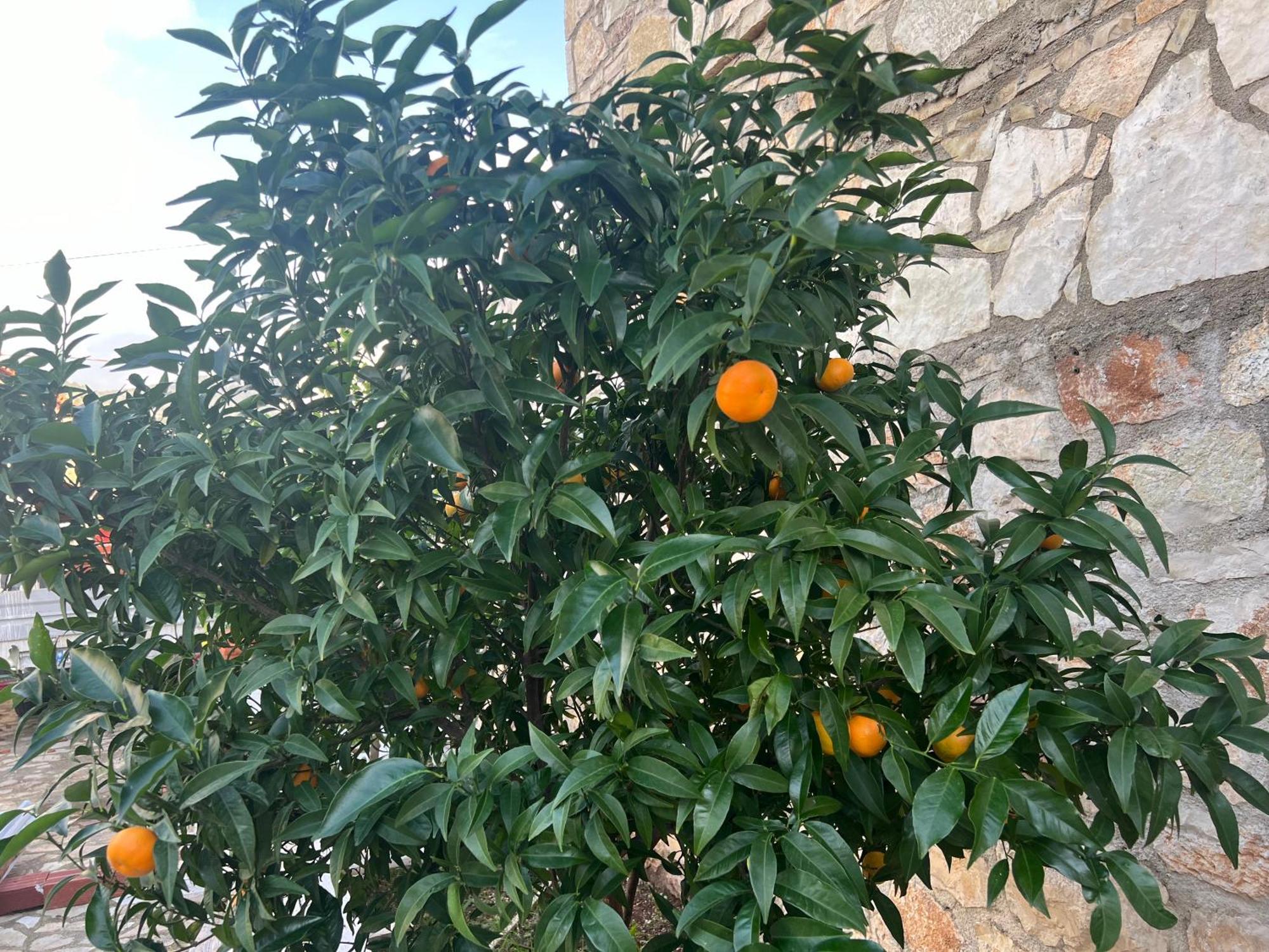 Отель Jardin Miraculeux Химара Экстерьер фото