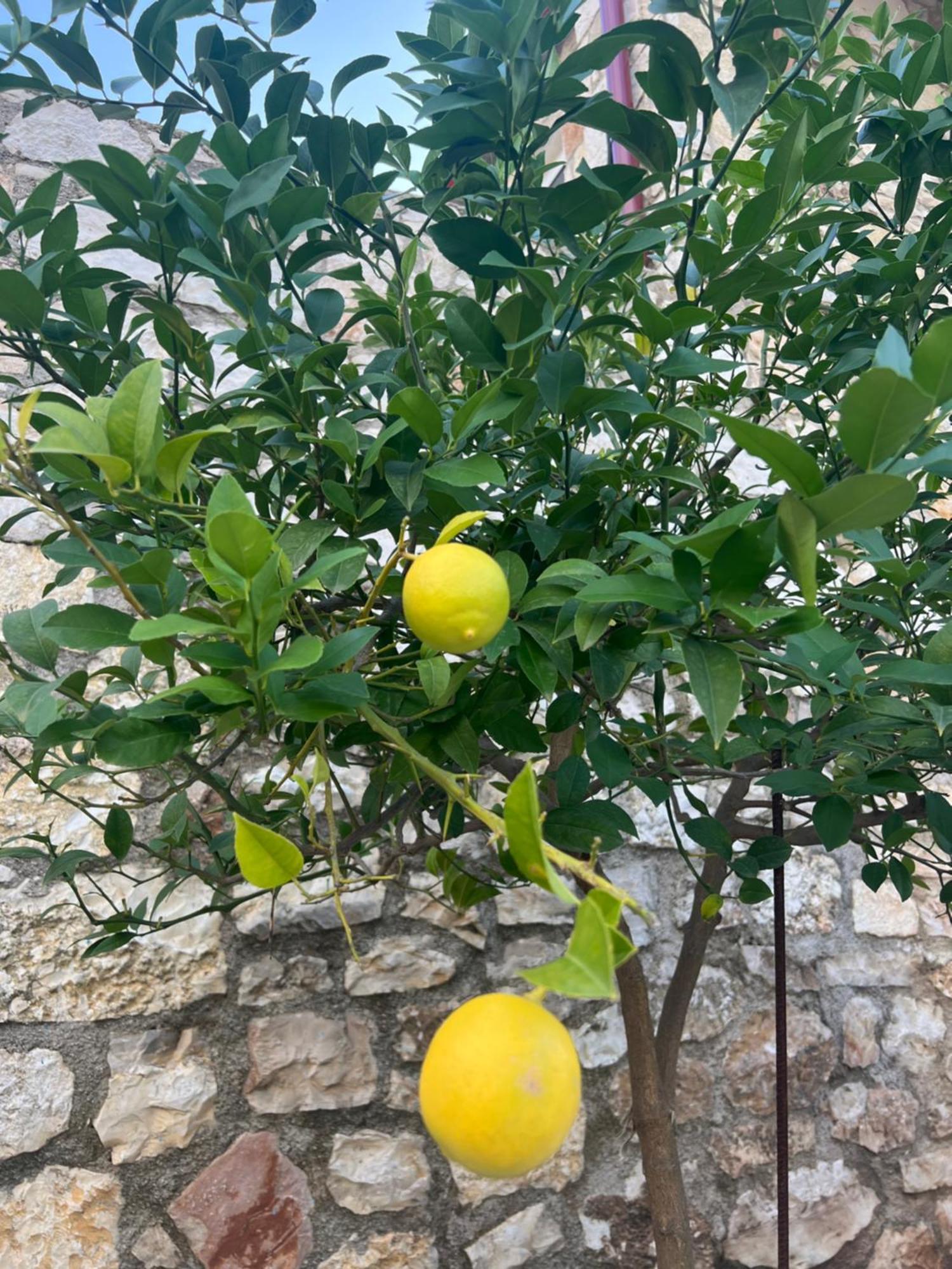 Отель Jardin Miraculeux Химара Экстерьер фото